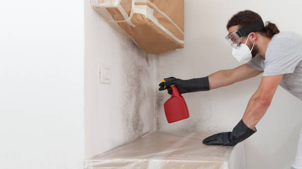 Professional Commercial Mold Remediation technician working in Leland, MI